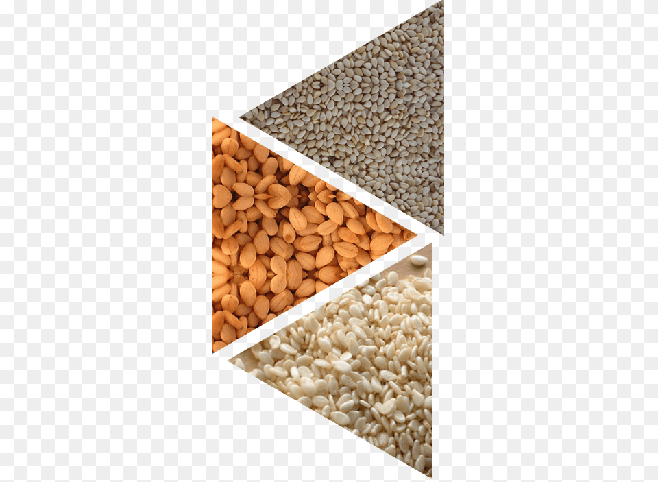 Whitebrownblack Sesame Seed Hulled Sesame Seeds, Food, Produce, Seasoning, Grain Png Image