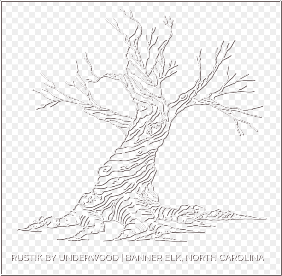 Whiteburn Shadow Sketch, Art, Drawing, Plant Free Png Download