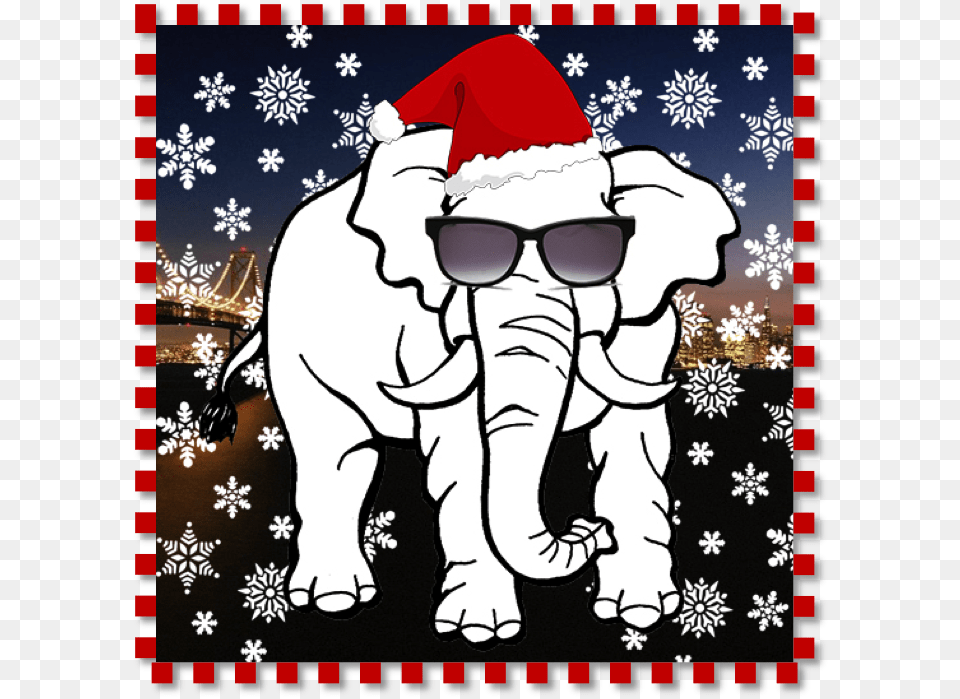 Whiteele Merry Christmas White Elephant, Accessories, Sunglasses, Baby, Person Free Transparent Png