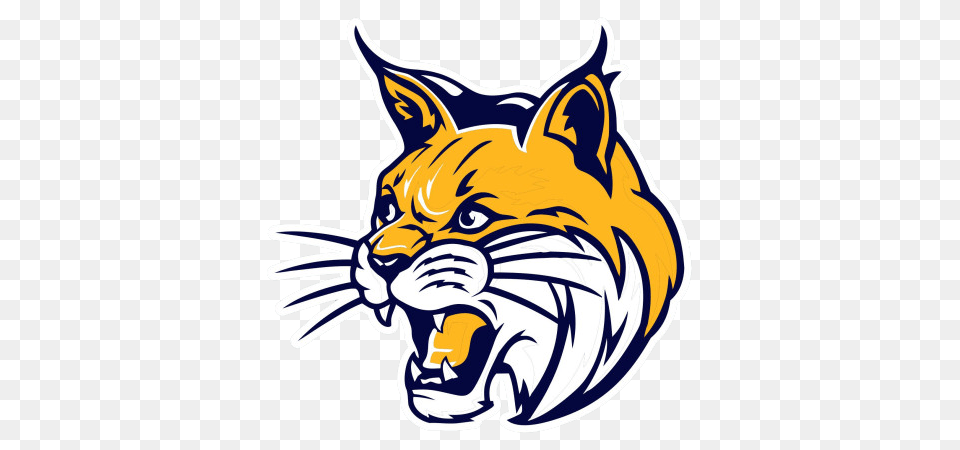 Whiteford Second In All Time Tcc Championships Whiteford Bobcat, Animal, Mammal, Tiger, Wildlife Png Image