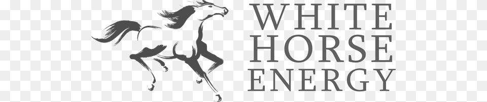 Whitehorse Energy Logo, Animal, Colt Horse, Horse, Mammal Free Png Download