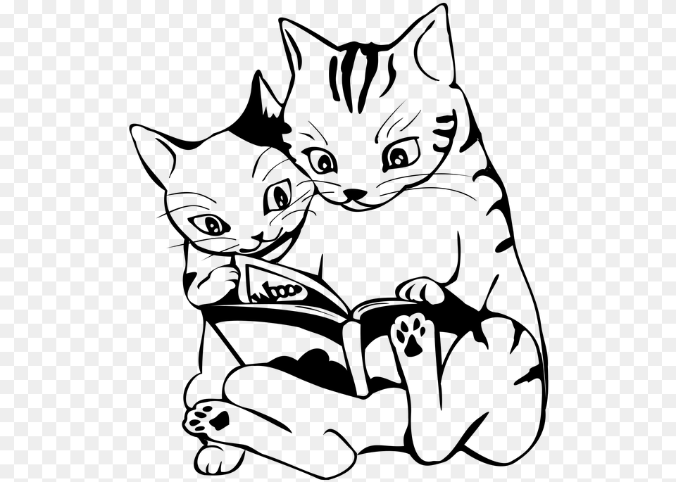 Whiteline Artcatblack And Whitesmall To Medium Cat Reading Book Clipart Black And White, Gray Free Png Download