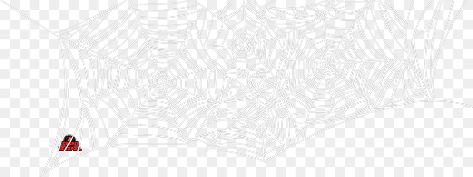 Whitelineline Spiderman Web White, Spider Web Png Image