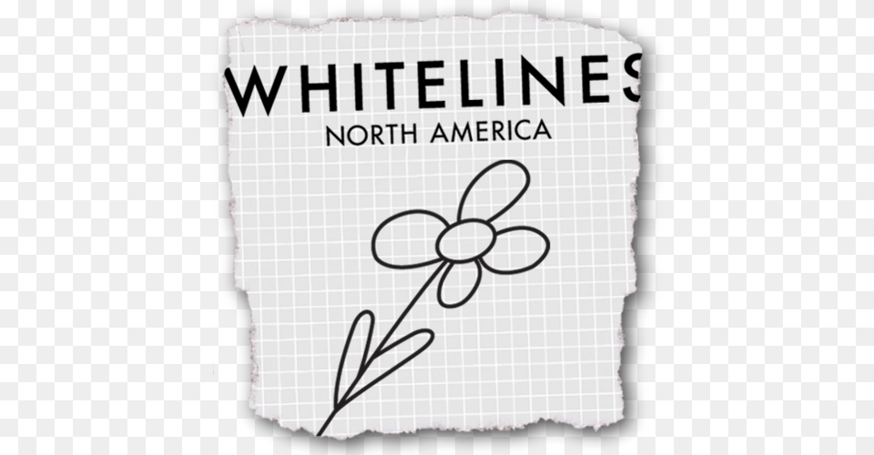 Whitelines Whitelinesusa Twitter Zonamerica, Book, Publication, Text Free Png