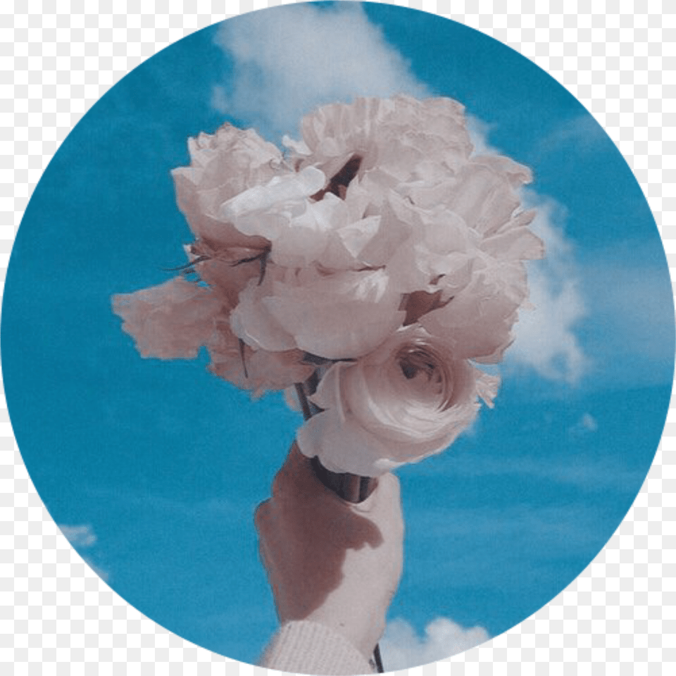 Whiterose Bluesky Aesthetic Background Tumblr Roundobje Background Aesthetic Sky Blue, City, Urban Free Transparent Png