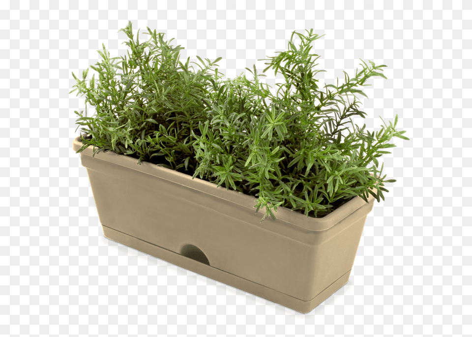 Whites Vertical Garden Mix39n39match Herb Pot Herb Pot, Herbal, Herbs, Jar, Plant Free Png