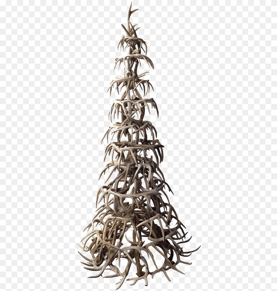 Whitetail Antler Christmas Tree Vertical, Wood, Adult, Bride, Female Png Image