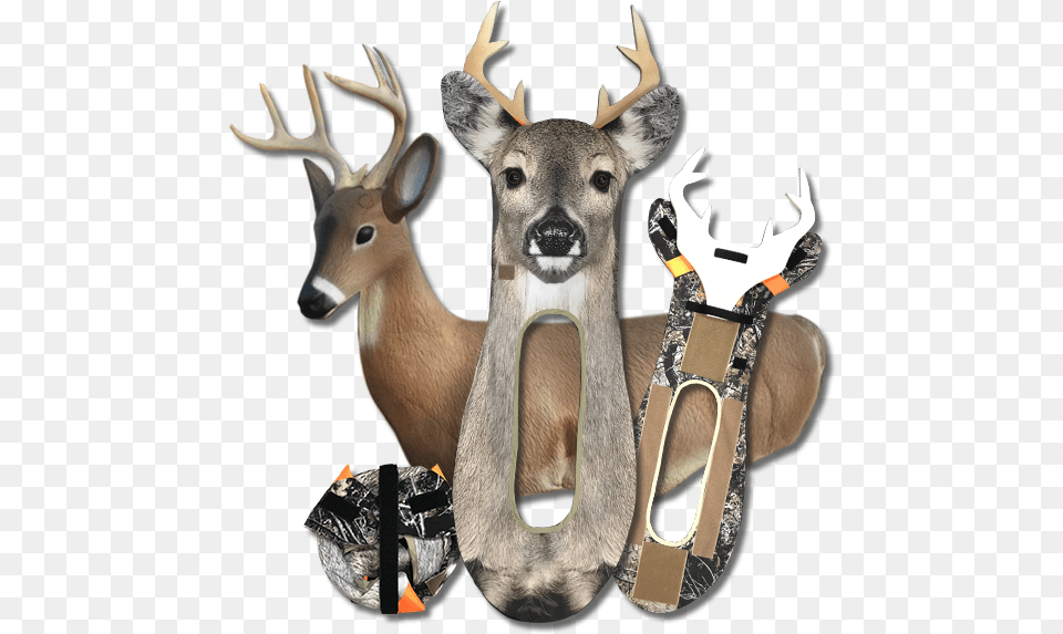 Whitetail Buck Stalkeranddrifter Stalker Decoy Deer, Animal, Mammal, Wildlife, Antelope Png