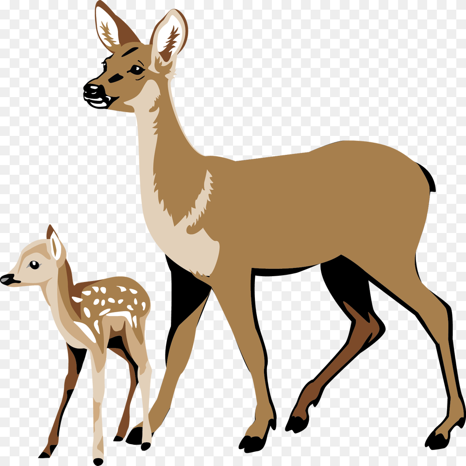 Whitetail Deer Clipart, Animal, Mammal, Wildlife, Antelope Free Png