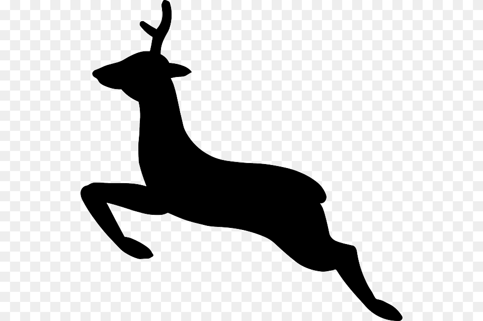 Whitetail Deer Clipart, Silhouette, Stencil, Animal, Mammal Free Png Download