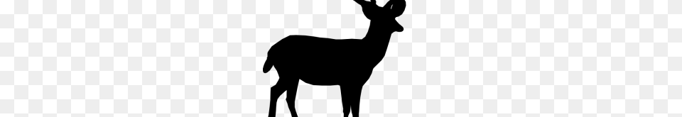 Whitetail Deer Clipart Deer Hunting Is Survival Hunting Or Sport, Gray Png