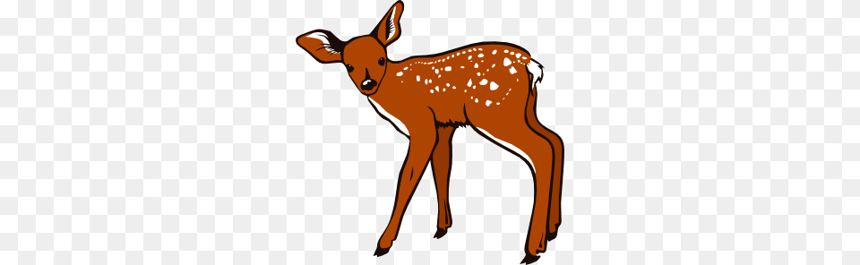 Whitetail Deer Cliparts, Animal, Mammal, Wildlife, Kangaroo Free Png