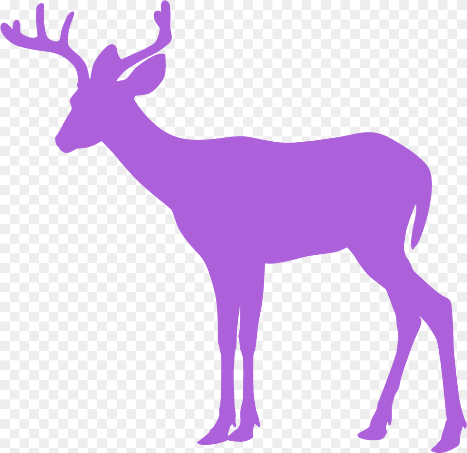 Whitetail Deer Deer Silhouette Clipart, Animal, Mammal, Wildlife, Antelope Free Png Download