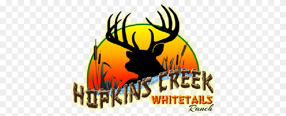Whitetail Deer Hunting In Michigan Language, Animal, Mammal, Wildlife, Elk Free Png