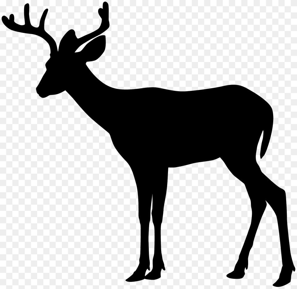 Whitetail Deer Silhouette, Animal, Antelope, Mammal, Wildlife Png