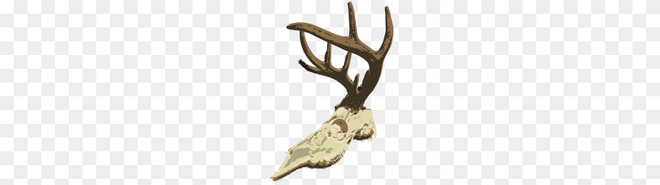 Whitetail Deer Skull, Antler, Animal, Mammal, Wildlife Free Png