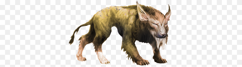 Whitewolf Blink Dog Pathfinder, Animal, Bear, Mammal, Wildlife Png Image