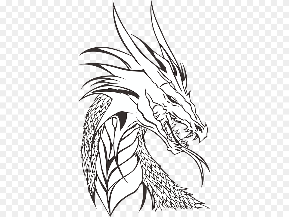 Who Is Your Favorite Dragon Realistic Dragon Head Drawing, Adult, Female, Person, Woman Free Png