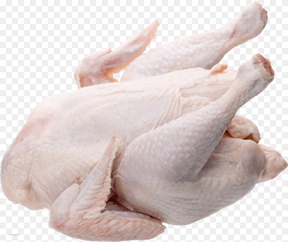 Whole Chicken Broiler Chicken, Animal, Bird, Baby, Person Free Png Download