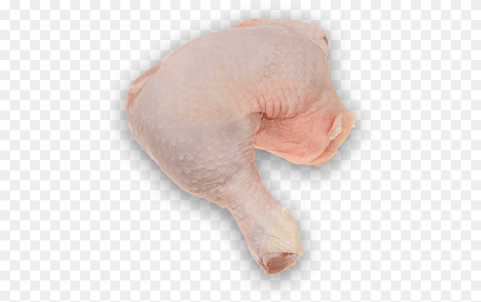 Whole Chicken Leg Full Chicken Leg, Animal, Bird, Fowl, Poultry Png