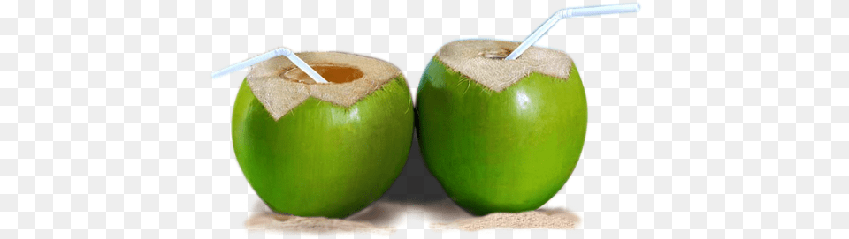 Whole Coconut Fresh Buko, Food, Fruit, Plant, Produce Png Image