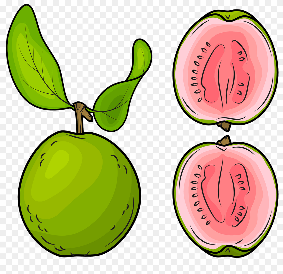 Whole Guava And A Half Clipart, Food, Fruit, Plant, Produce Free Png