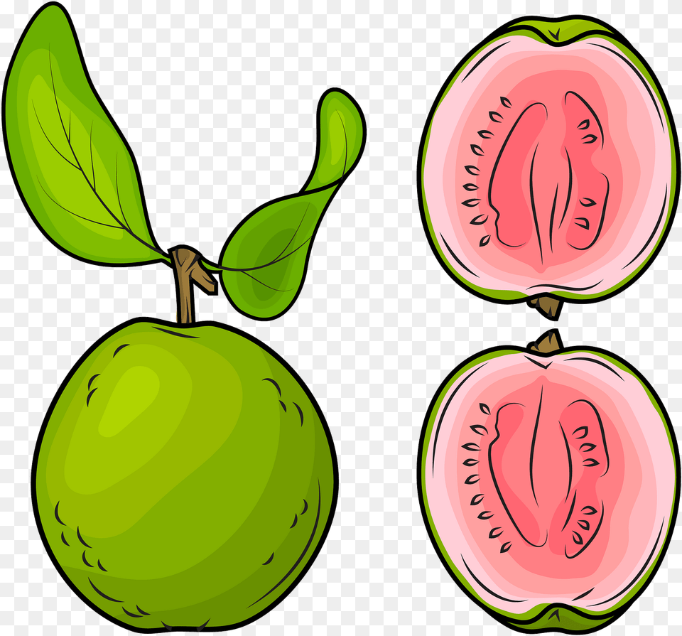 Whole Guava And A Half Clipart Set Of Guavas Clipart, Food, Fruit, Plant, Produce Png Image