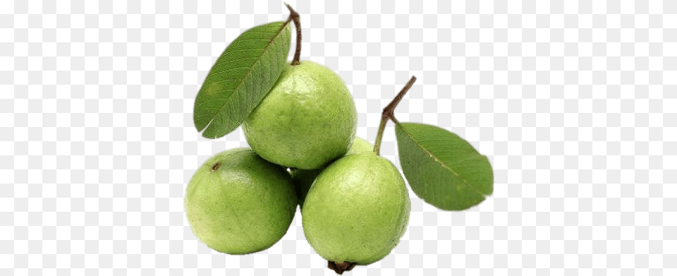 Whole Guava Guava, Plant, Ball, Leaf, Tennis Ball Free Transparent Png