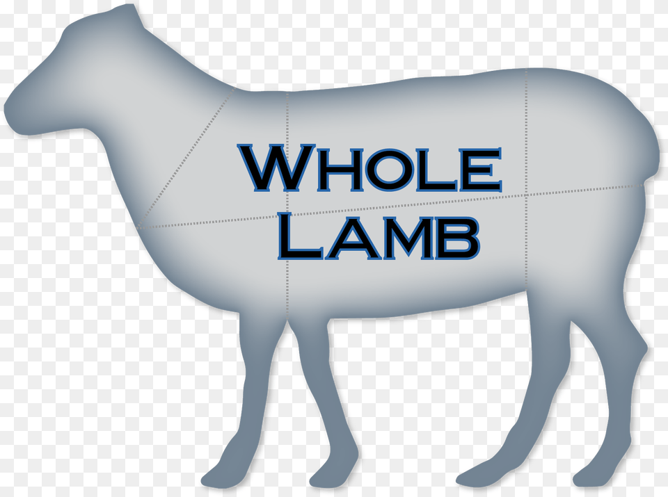 Whole Lamb Varning Fr, Animal, Mammal, Person, Livestock Png