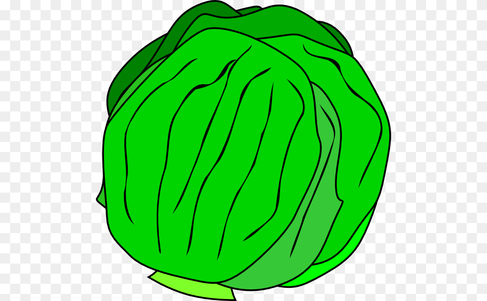 Whole Lettuce Svg Clip Arts Lettuce Clip Art, Leafy Green Vegetable, Vegetable, Food, Produce Free Png