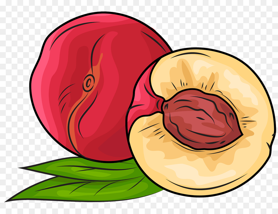 Whole Nectarine And A Half Clipart, Food, Fruit, Plant, Produce Png Image