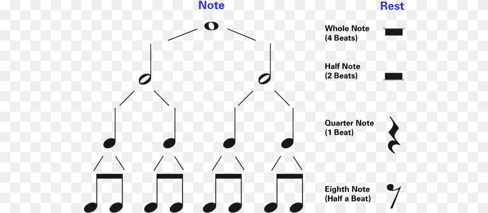 Whole Note Half Note Quarter Note Free Png Download