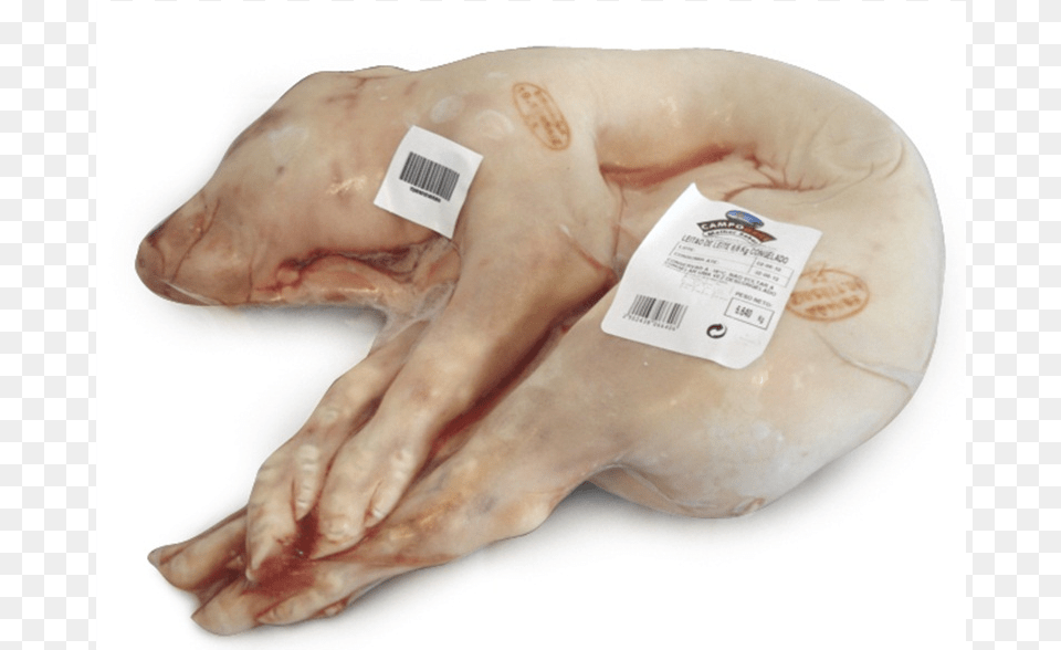 Whole Piggy 68 Kg Uni Leitao A Vacuo, Baby, Person Free Png