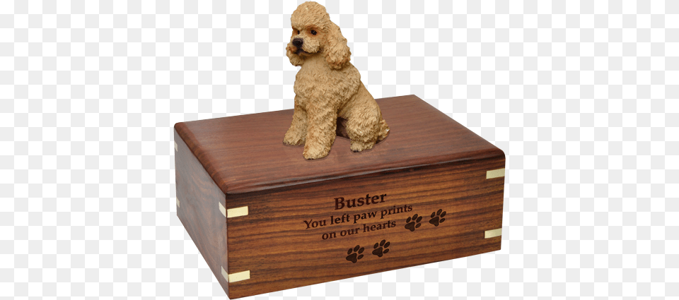 Wholesale Apricot Poodle Dog Figurine Urn With Engraved German Shepherd Urns, Box, Animal, Canine, Mammal Png Image
