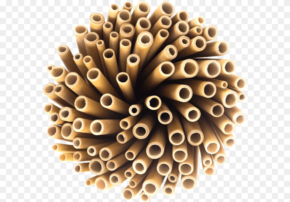 Wholesale Bamboo Straws, Dynamite, Weapon, Wood Png