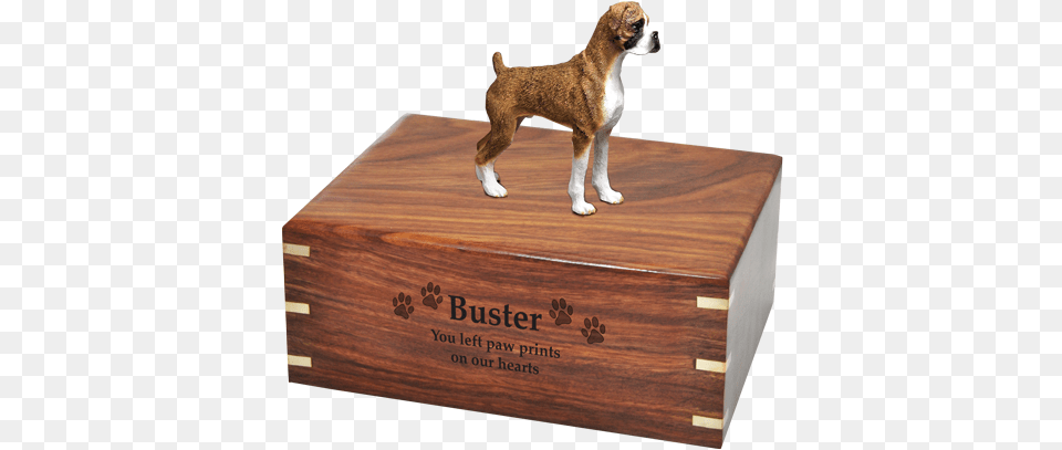 Wholesale Boxer Brindle Uncropped Dog Urn Engraved Dog, Box, Crate, Animal, Canine Free Transparent Png