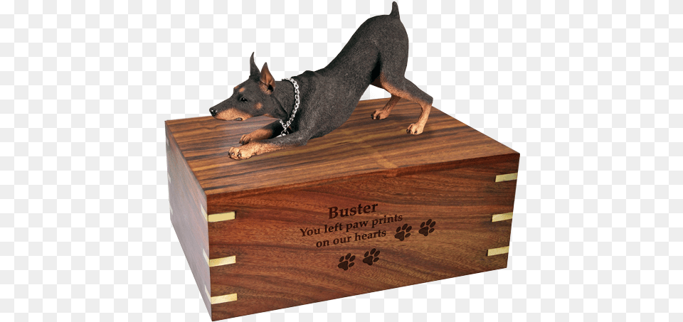 Wholesale Doberman Pinscher Red Engraved Wood Urn Pinscher, Box, Animal, Canine, Crate Free Png