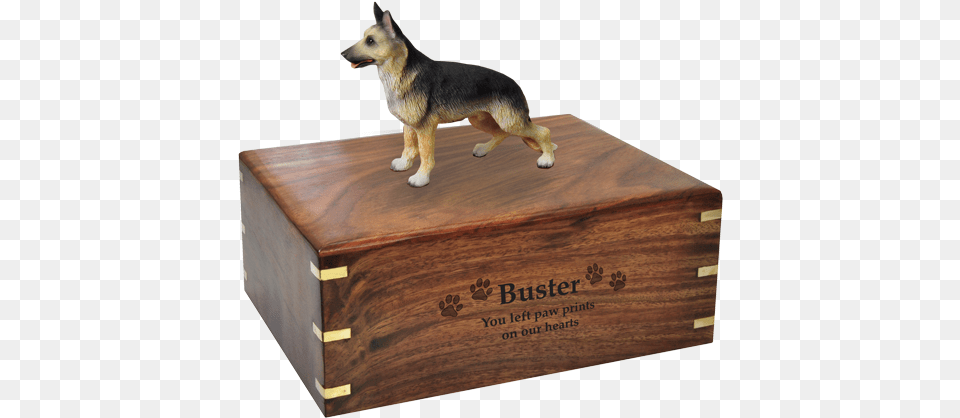 Wholesale German Shepherd Pet Memorials New Direct Australian Shepherd, Box, Animal, Canine, Dog Free Png