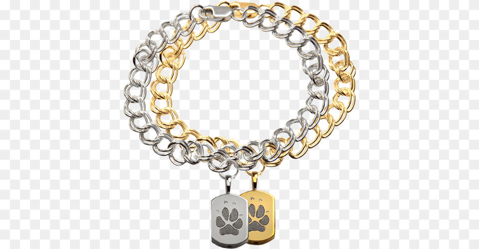 Wholesale Mini Dog Tag Charm Bracelet With Actual Pawprint Petite Oval Charm With Handwriting Bracelet, Accessories, Jewelry, Chandelier, Lamp Free Transparent Png