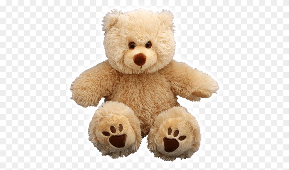 Wholesale Teddy Bears New Stuffed 10, Teddy Bear, Toy Free Transparent Png