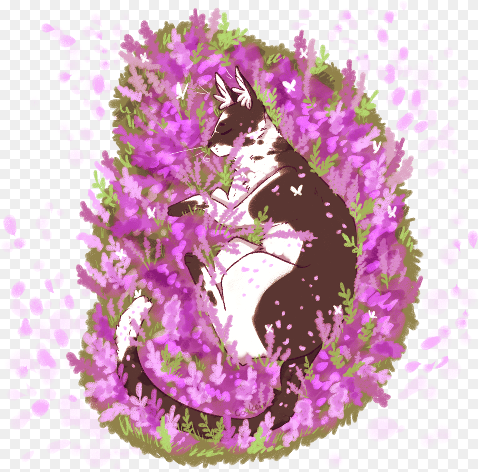 Wholesome Tall Boi Loosestrife And Pomegranate Family, Art, Graphics, Purple, Floral Design Free Transparent Png