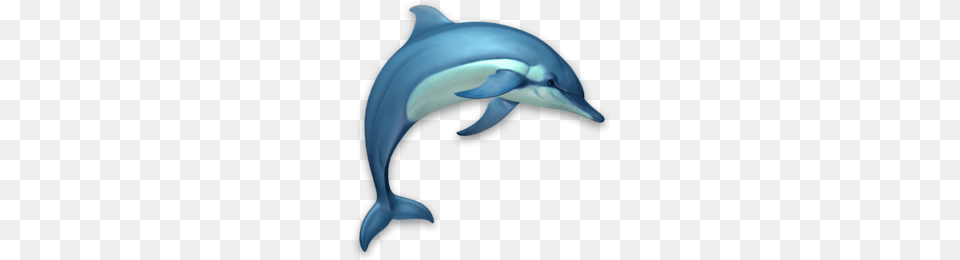 Wholphin Clipart, Animal, Dolphin, Mammal, Sea Life Free Transparent Png