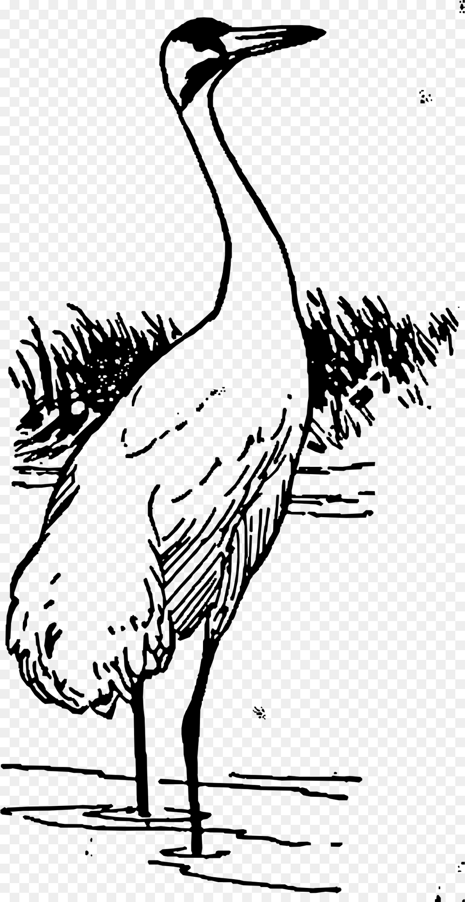 Whooping Crane Clip Arts Clipart Black And White Crane, Gray Free Png