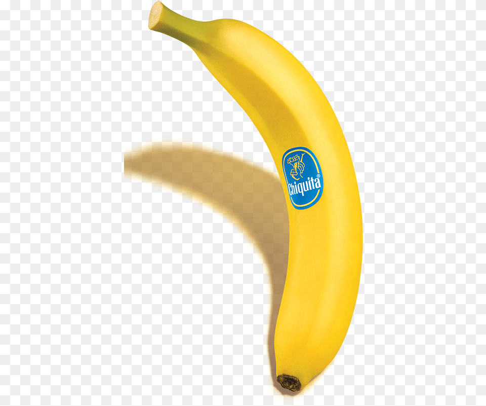 Whoquots Chiquita Banana Saba Banana, Food, Fruit, Plant, Produce Free Png