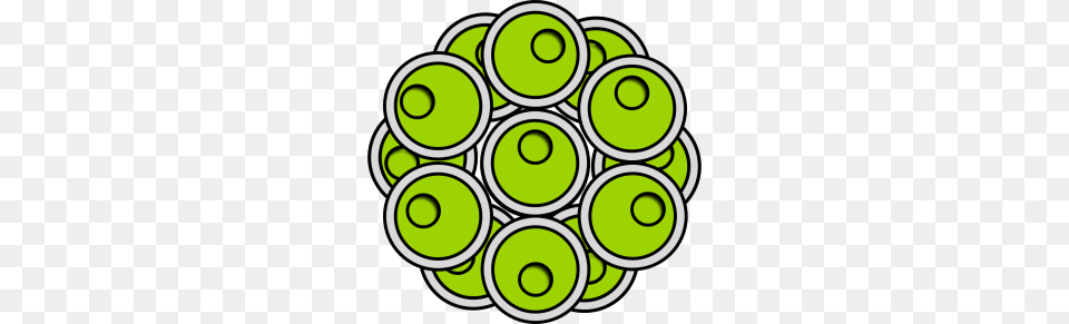 Why Algae, Green, Art, Graphics, Pattern Png