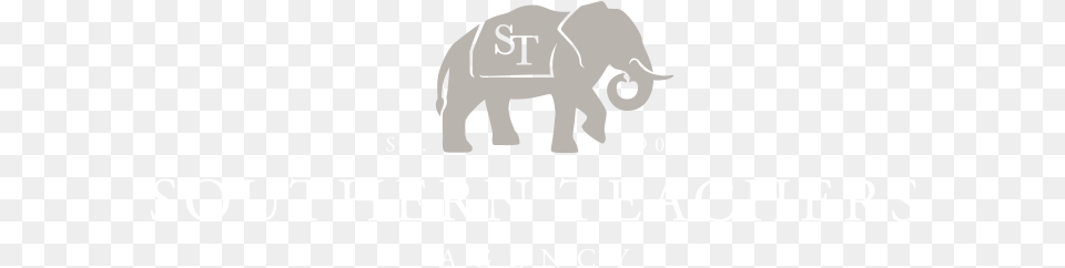 Why An Elephant Logo, Animal, Mammal, Wildlife, Bear Free Transparent Png