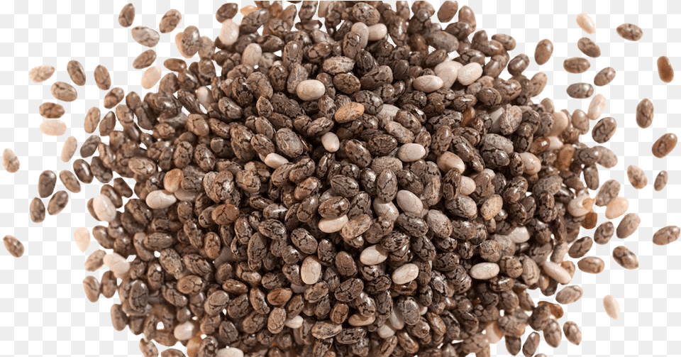 Why Are Chia Seeds Good For You Chia Seeds, Food, Produce, Grain, Seed Free Png Download