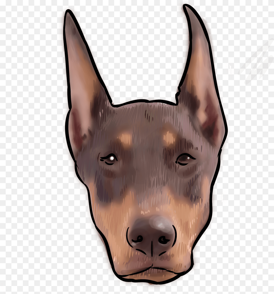 Why Are You A Doberman Pinscher Dobermann, Snout, Animal, Cat, Mammal Png Image