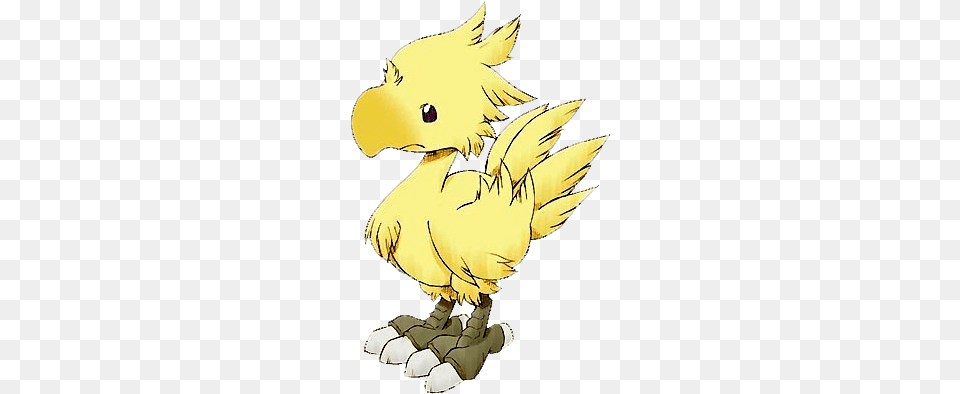 Why Can39t Sora Have This Lil39 Cute Guy Chocobo, Animal, Bird, Vulture, Baby Free Transparent Png