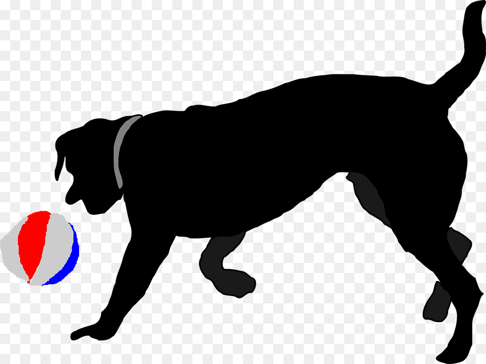 Why Do Dogs Chase People, Ball, Sport, Tennis, Tennis Ball Free Transparent Png